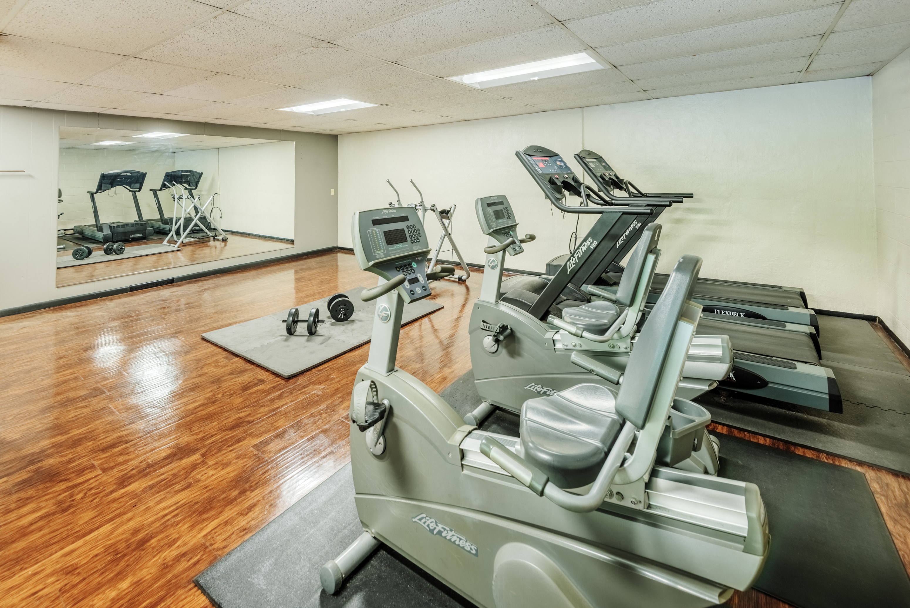 the gym is equipped with cardio equipment and weights