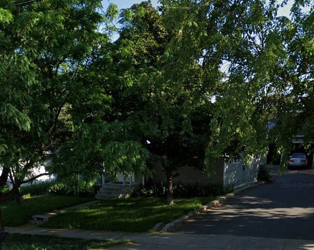 a tree in the front yard of a house