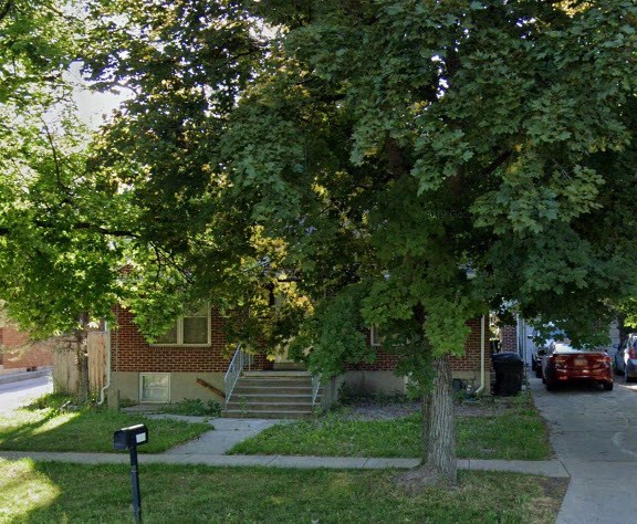 a tree in front of a brick house