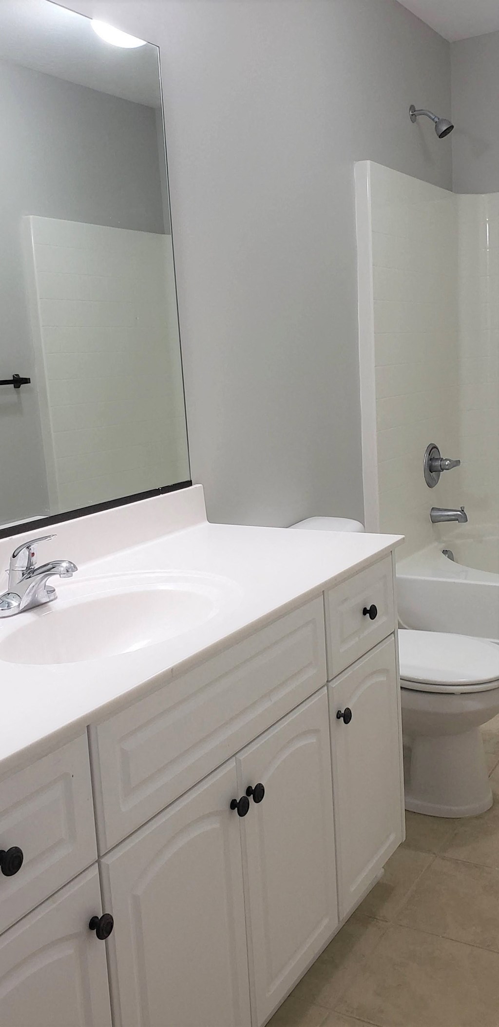 a bathroom with a sink and a toilet and a mirror