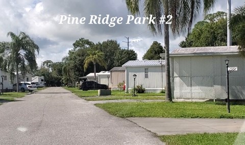 a street in pine ridge park