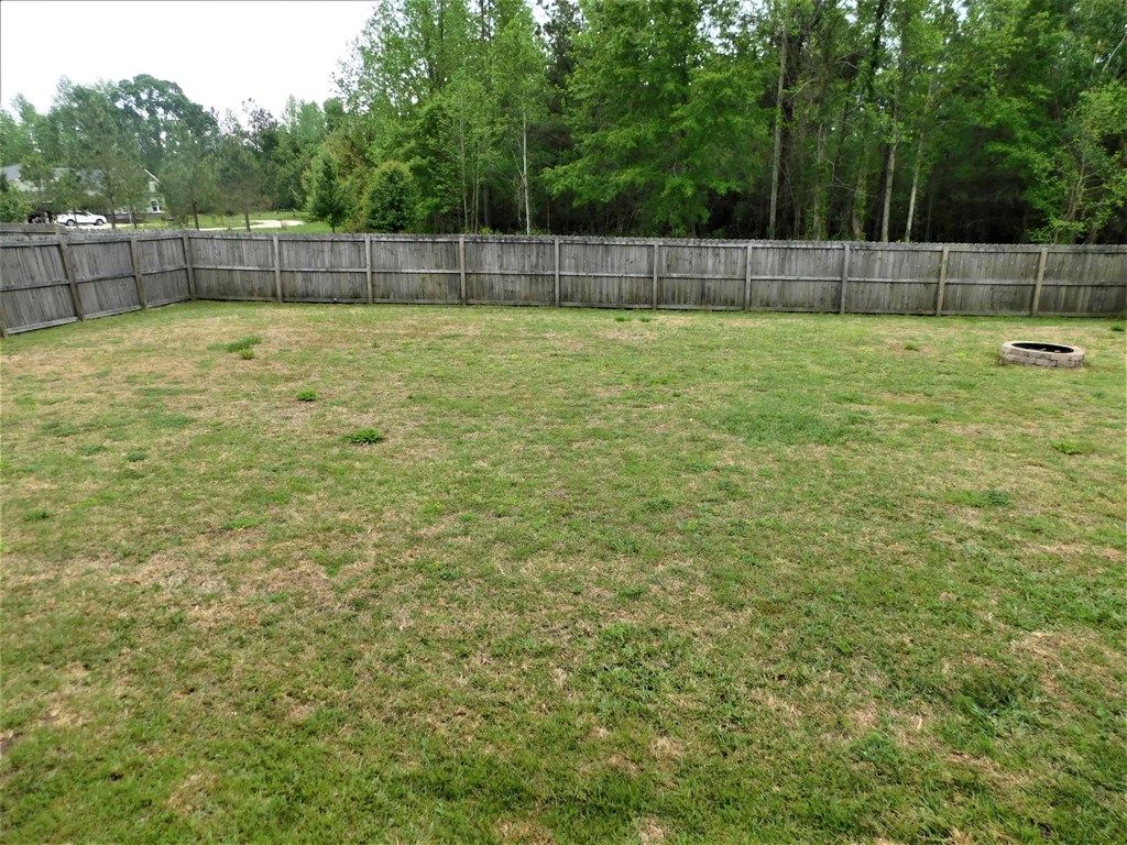 A backyard with a wooden fence and a green lawn.