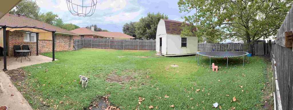 a backyard with a dog and a trampoline and a house