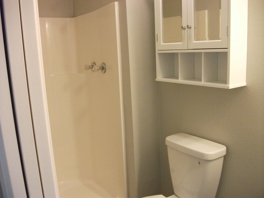 a small bathroom with a toilet and a cabinet over the shower