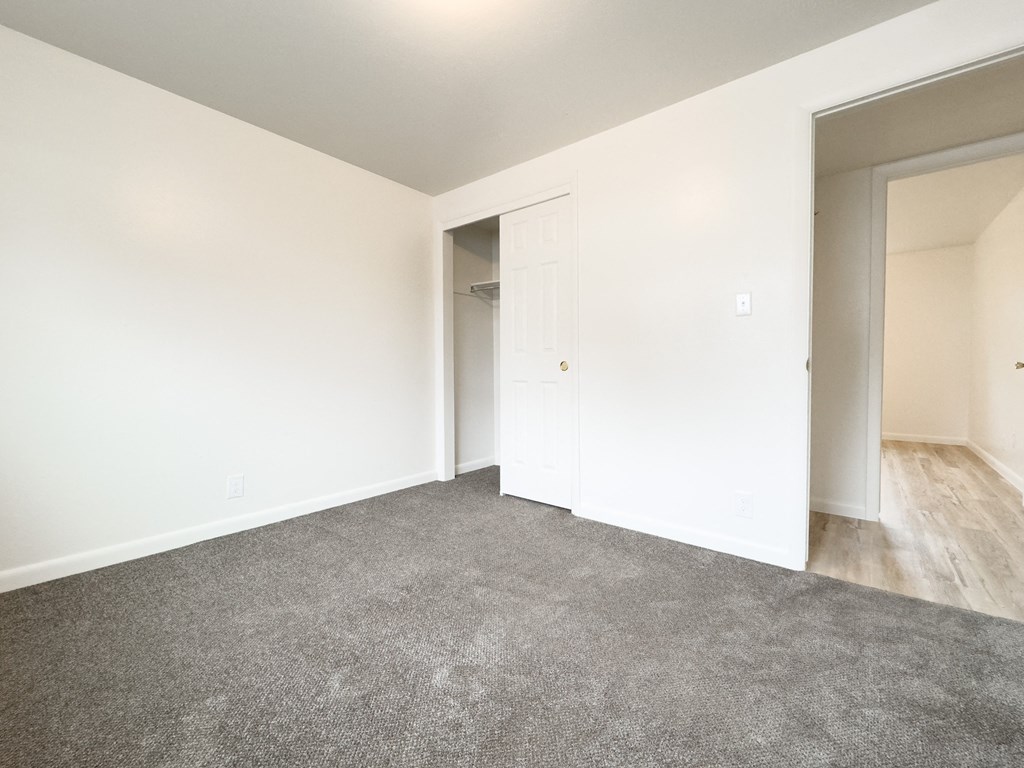 an empty room with carpet and a door to a closet