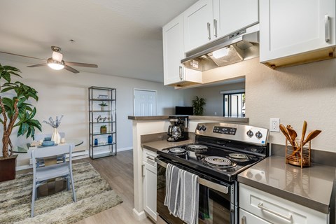 A modern kitchen with a stove top oven and a fan.