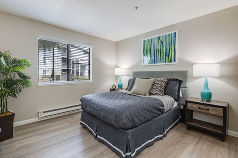 A bedroom with a large bed, a nightstand, and a plant.