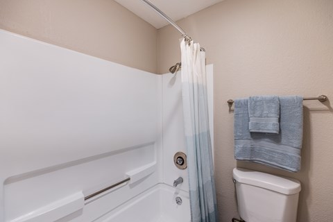 A white toilet sits next to a bathtub in a bathroom.