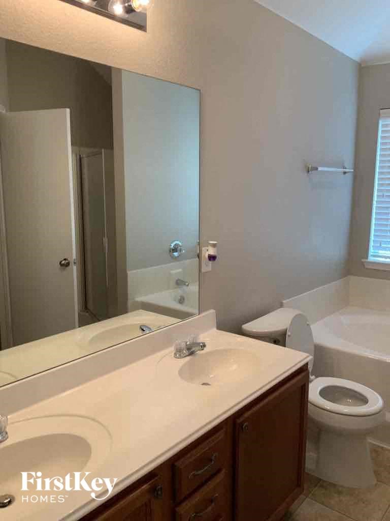 a bathroom with a sink and a toilet and a mirror