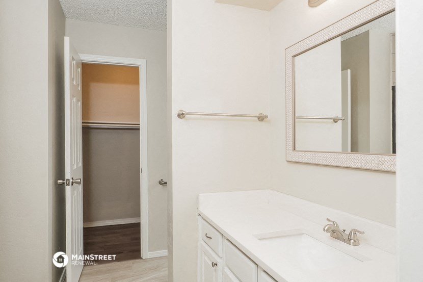 a bathroom with a sink and a mirror and a closet