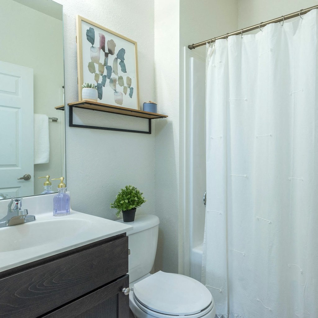 a bathroom with a shower and a sink and a toilet