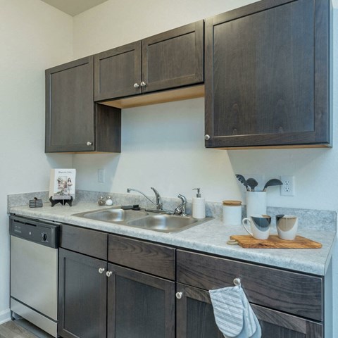 a kitchen with dark cabinets and a sink