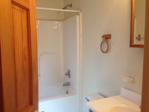 A bathroom with a toilet, sink, and shower.