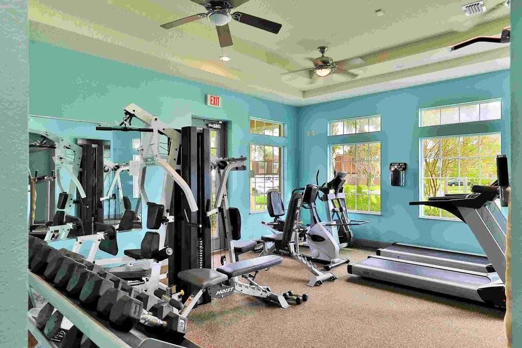 a gym with cardio equipment and weights in a room with blue walls and windows