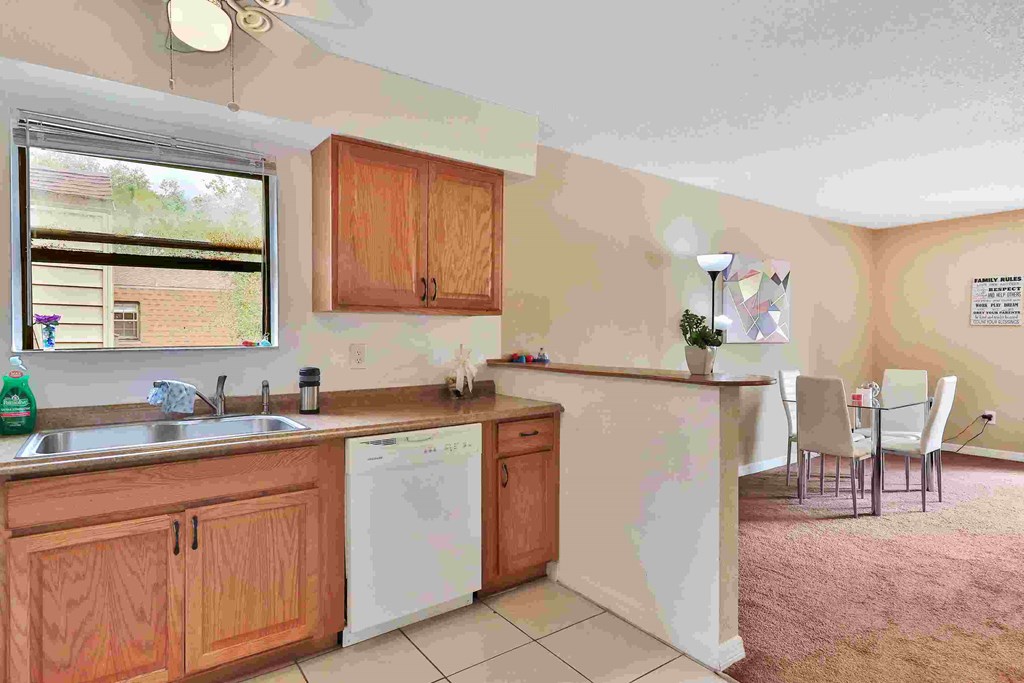 a kitchen with a sink and a dishwasher and a window