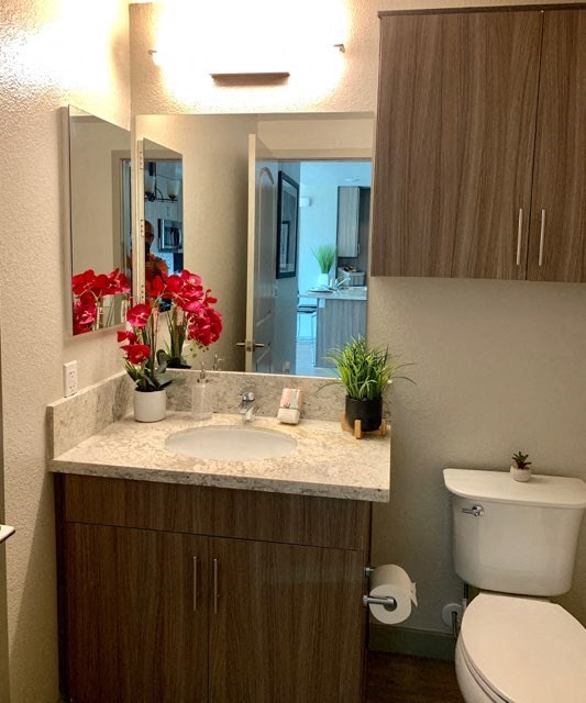 a bathroom with a toilet and a sink and a mirror