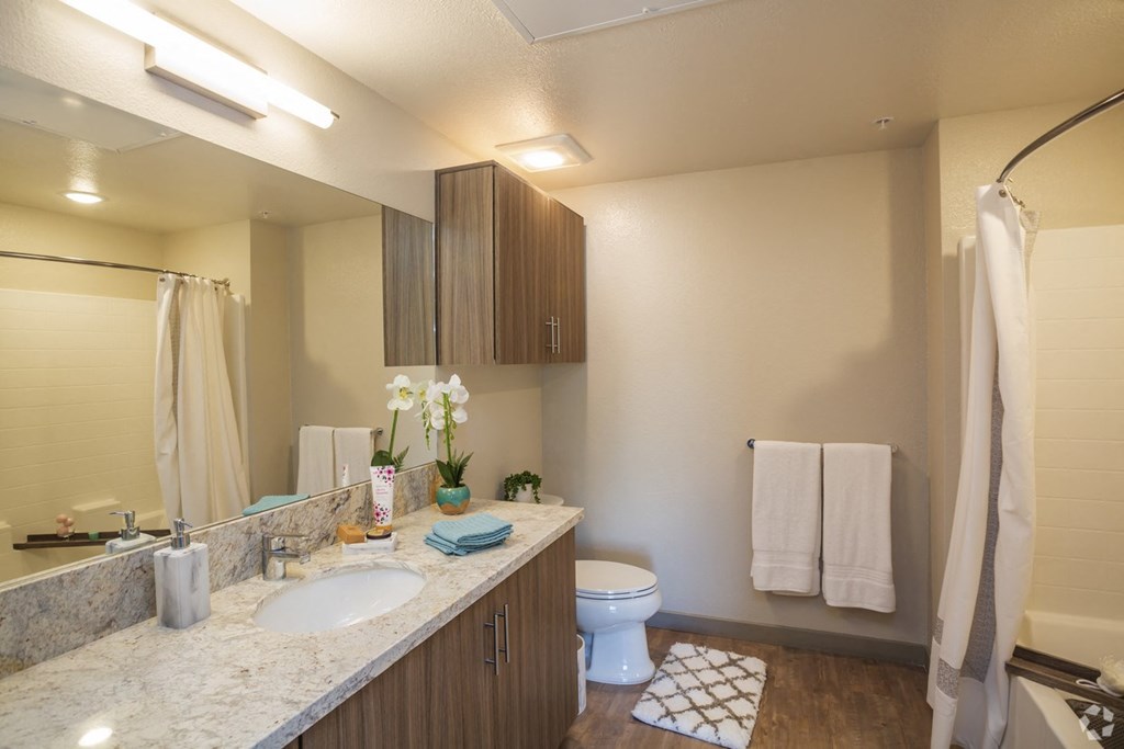a bathroom with a toilet and a sink and a mirror
