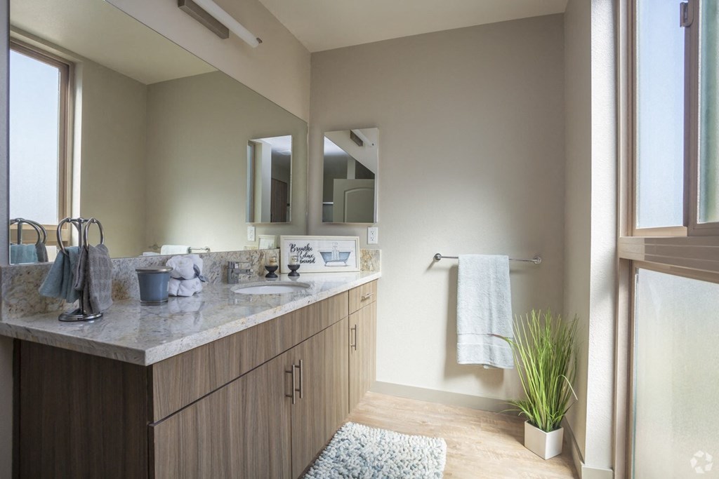 a bathroom with a sink and a mirror
