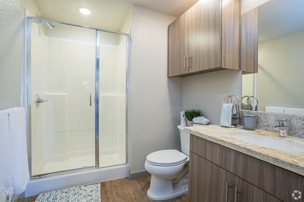 a bathroom with a shower toilet and sink
