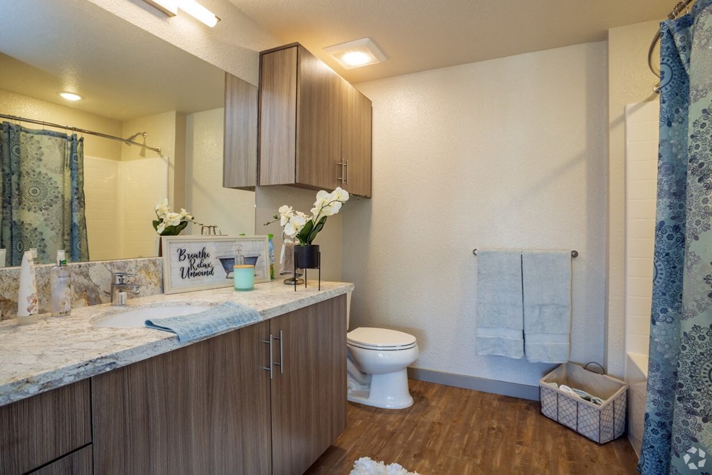 a bathroom with a toilet and a sink and a mirror