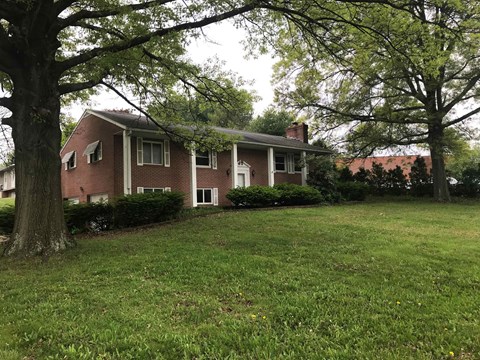 246 Applegrove NE Studio Apartment for Rent