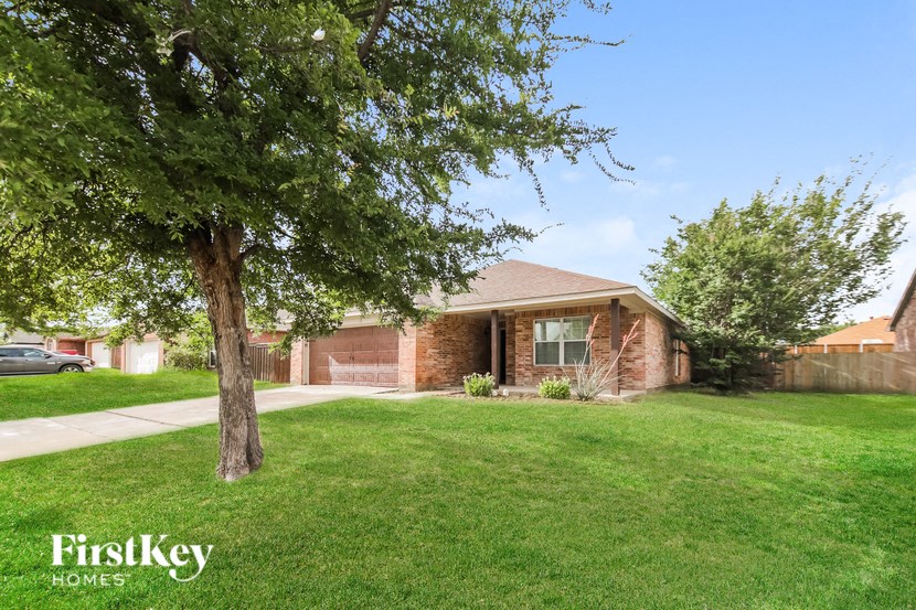 a house with a lawn and a tree in front of it