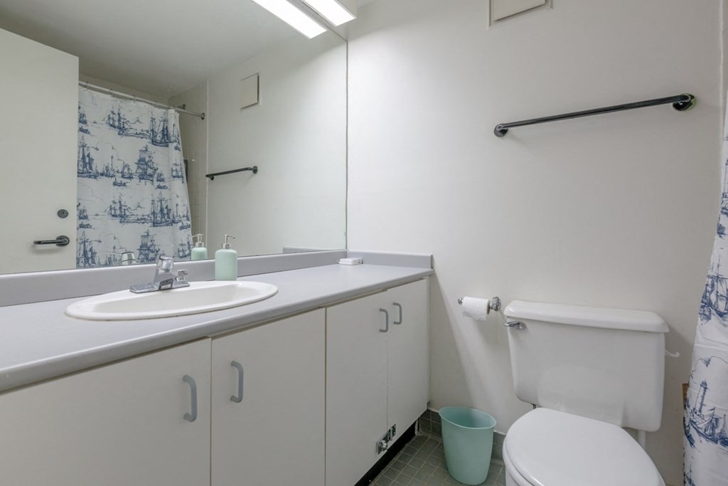 a bathroom with a sink toilet and a mirror