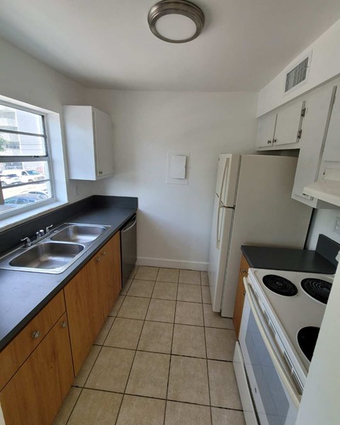 a kitchen with a stove and a sink and a refrigerator