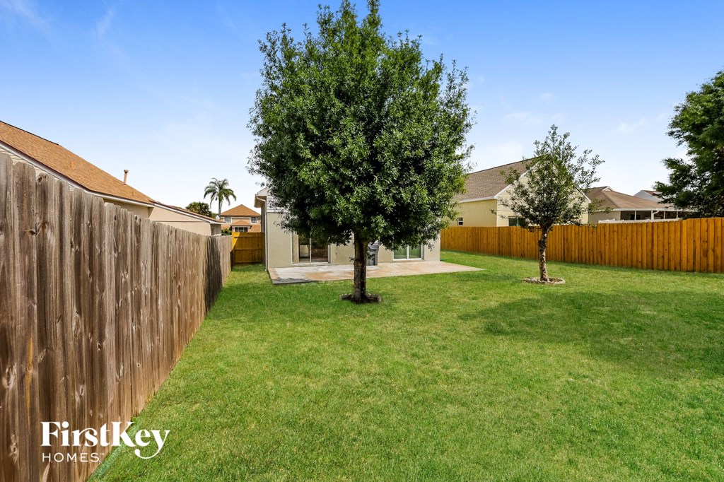a backyard with a tree and a wooden fence