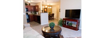 1 Bedroom, 1 Bathroom 790 SF