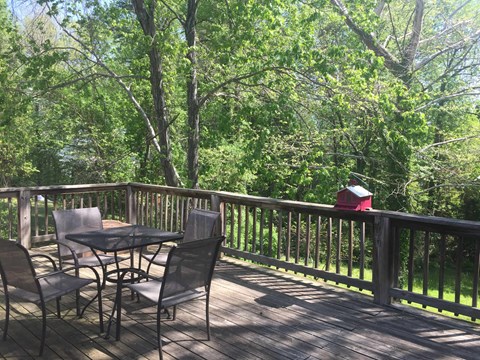 2230 Williamsburg Rd 3 Beds Apartment for Rent