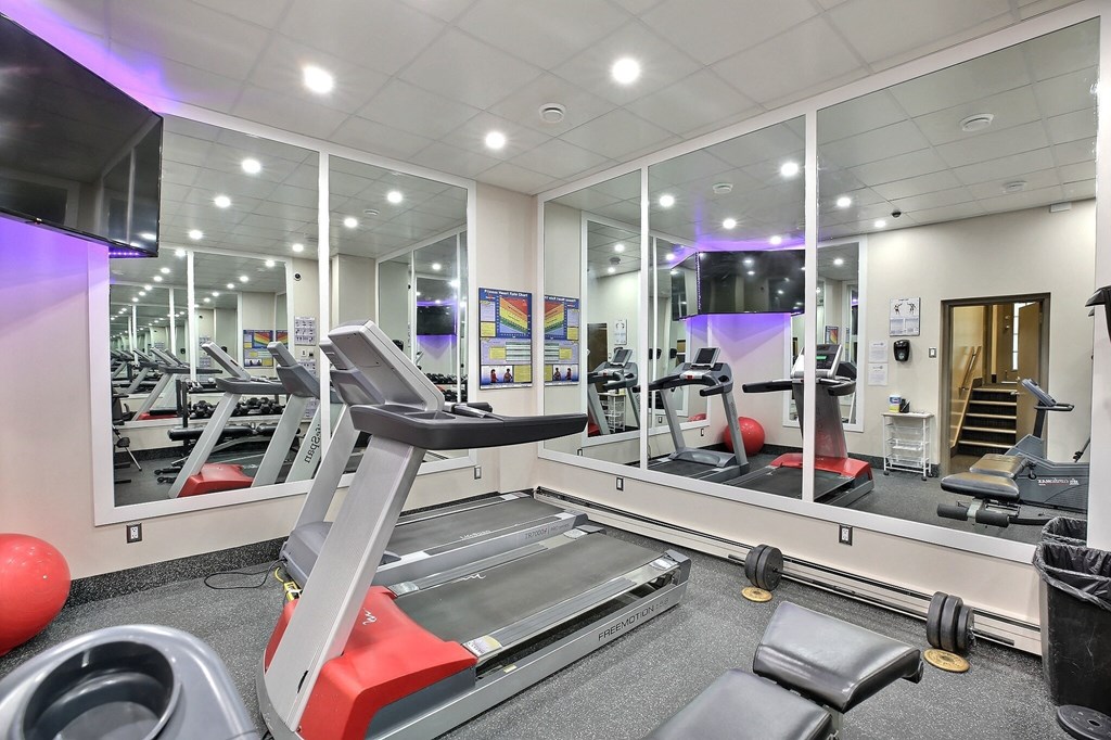 the gym is equipped with cardio equipment and weights