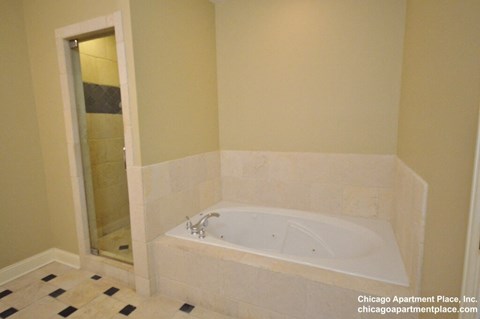 3355 N Clark St Studio-3 Beds Apartment for Rent - Photo Gallery 9