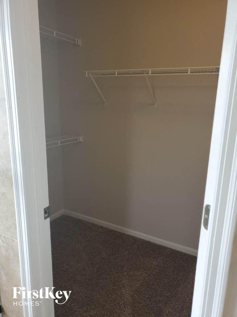 a walk in closet with empty shelves and a carpeted floor