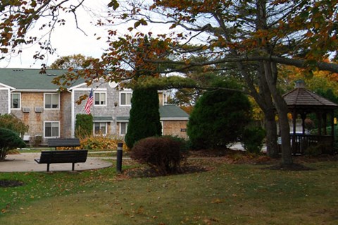 Apartment building behind trees and bushes