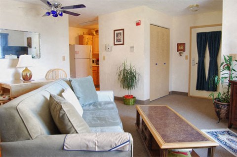 A living room with a grey couch and a wooden coffee table.