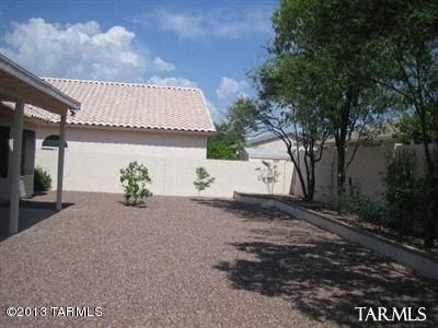 A small tree is in the backyard.