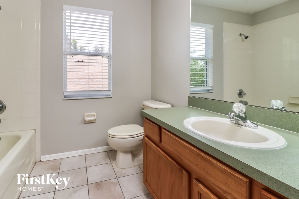 a bathroom with a sink and a toilet and a mirror