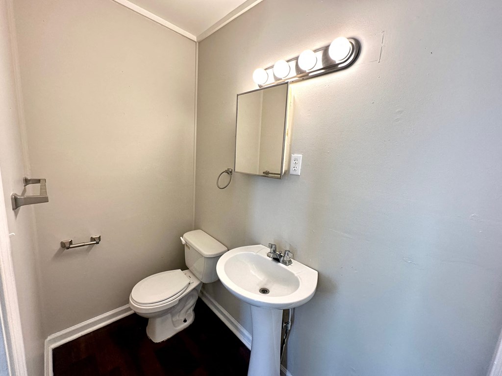 a bathroom with a sink and a toilet and a mirror