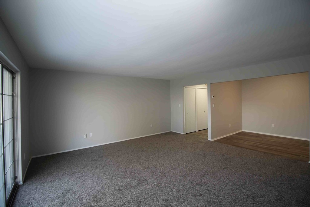A room with a carpeted floor and a window on the left side.
