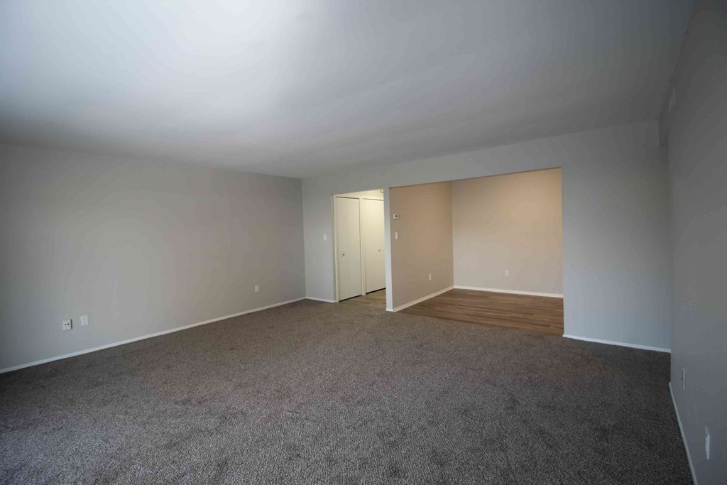 A room with carpeted floor and two closets.