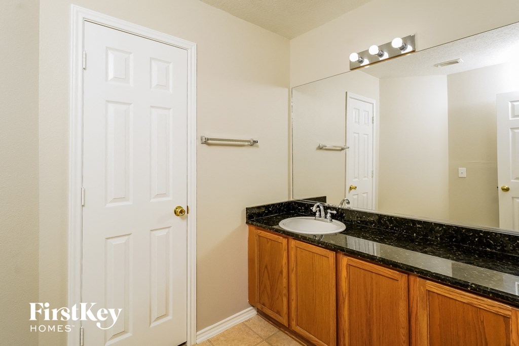 a bathroom with a sink and a large mirror