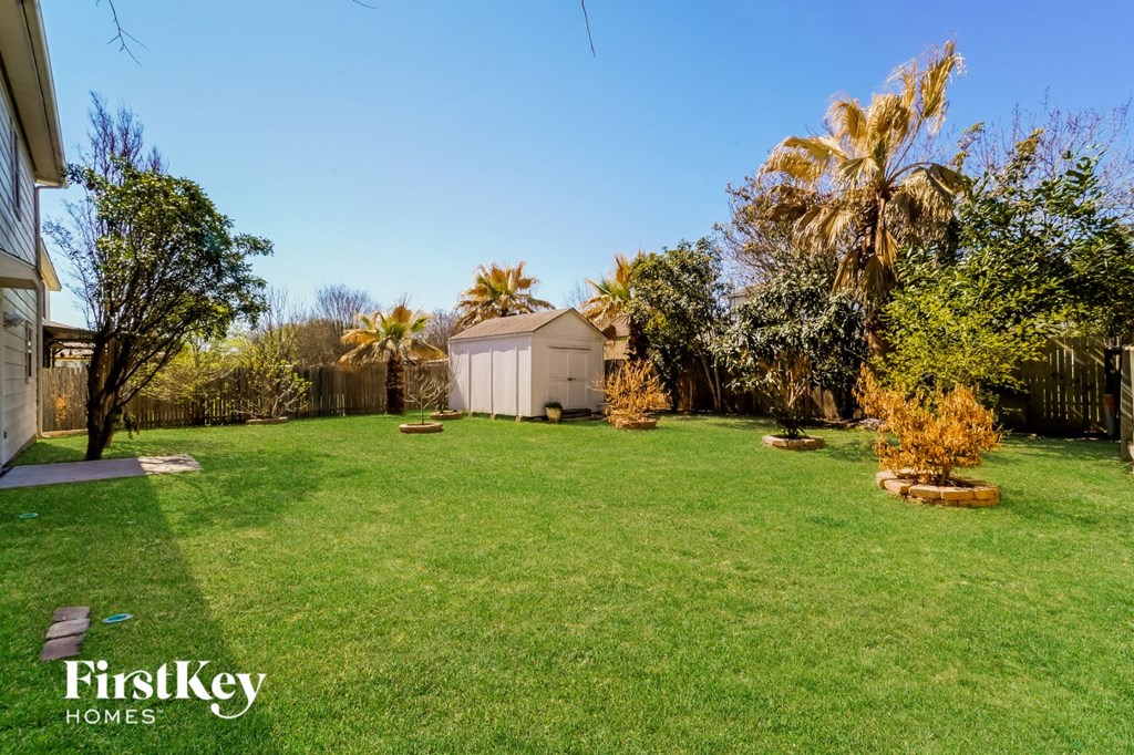 a backyard with green grass and a shed and palm trees
