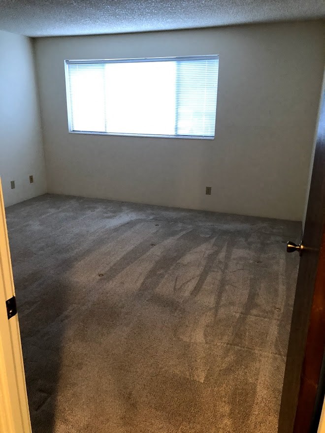 an empty room with a window and a carpeted floor