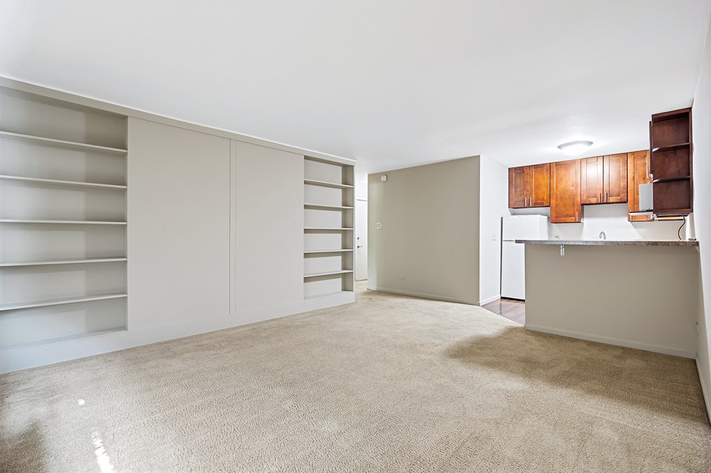 A spacious room with a kitchenette and a large closet with shelves.