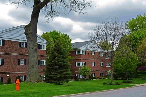 A tree stands in front of a red brick building.