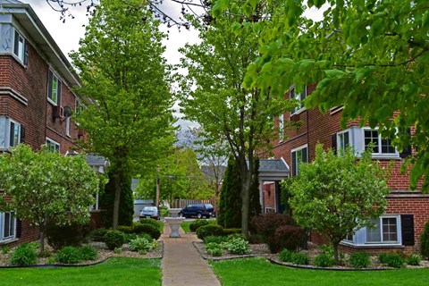 A tree-lined walkway leads to a brick building.
