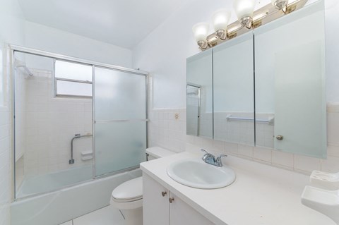 a bathroom with a sink and a shower and a mirror