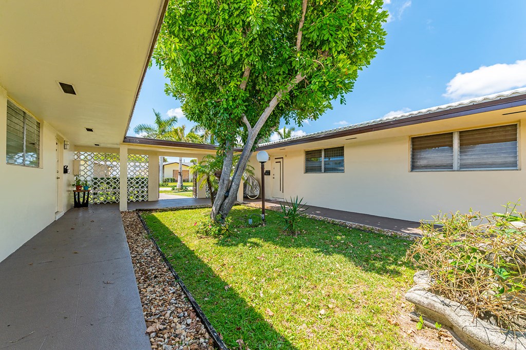 the front yard of a house with a tree and a sidewalk
