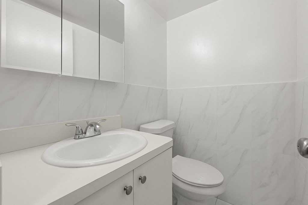 a bathroom with a sink and a toilet